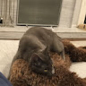 Meet your Posher, Emma